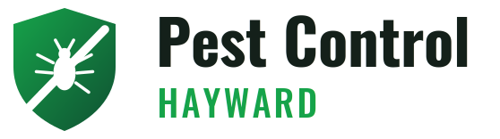 Hayward Pest Control